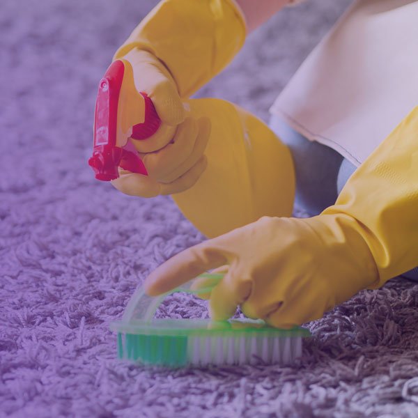 Shine Maid carpet cleaning in Jacksonville #1